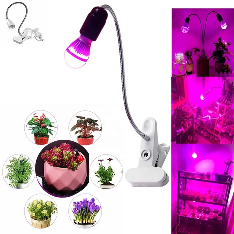 led grow light for Indoor Vegetable Flower 4 led grow light for Indoor Vegetable Flower 4