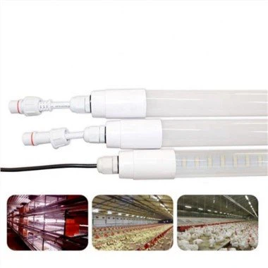 Kit Soilsiú Coop sicín