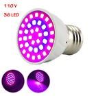 36 LED Plant Grow Light 1