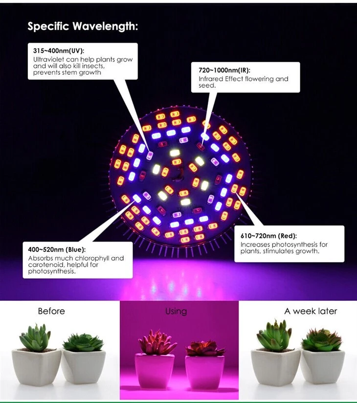 4W Led Grow Light 3