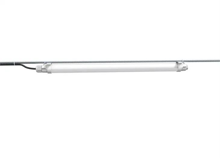 Solas sicín le lasc ama