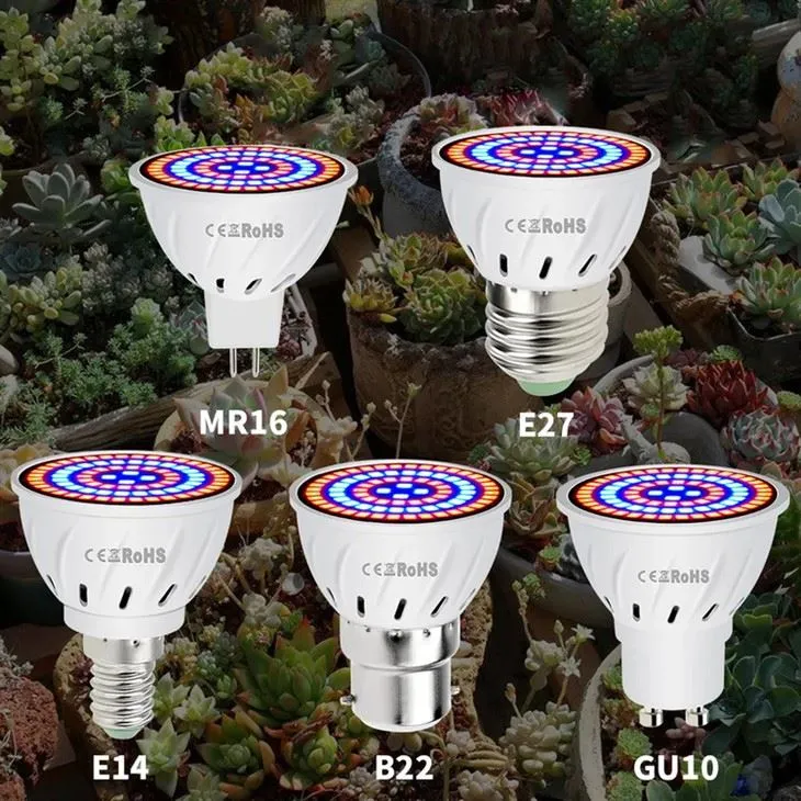 Lampa Fáis Plandaí