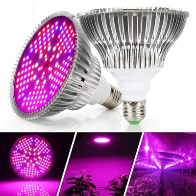 Bolgáin Solais Dimmable Grow