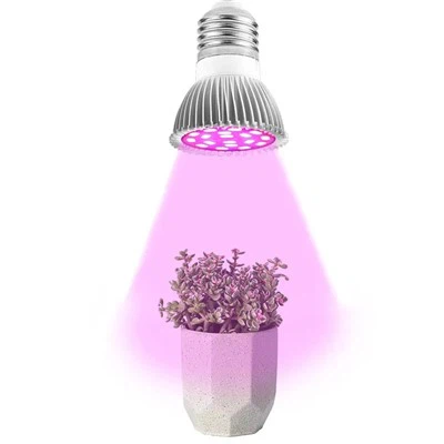 Bolgáin Solais Gléasra Dhíon