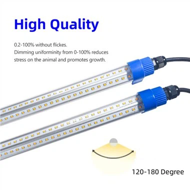 Soilse Do Chicks Babaí