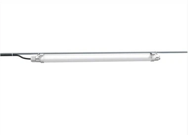 Solas Gréine Do Taobh istigh Coop sicín