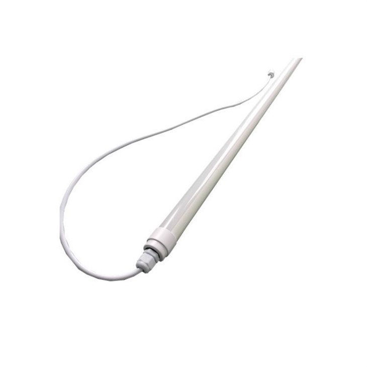 12v DC Chicken Light