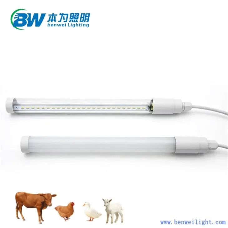 150cm Chicken Light