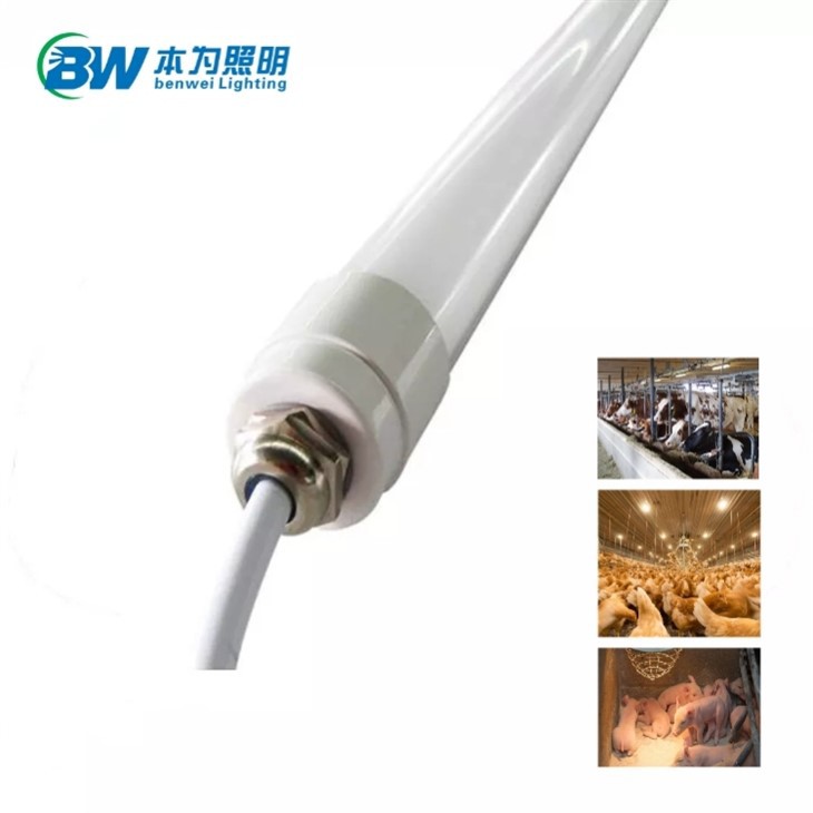 3000k Poultry Led Lighting