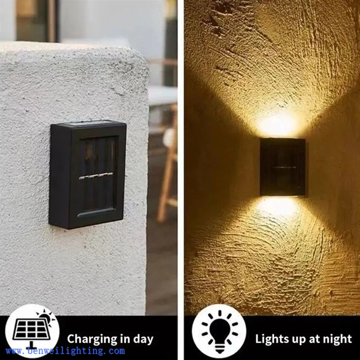 5 Years Poultry Light