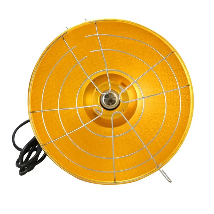 5 Years Poultry Light