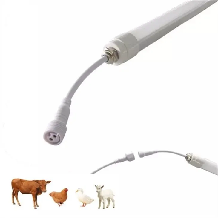 Bovine Rearing Light