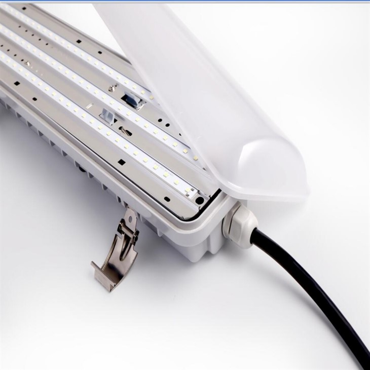 Customizable Tri Proof LED Light