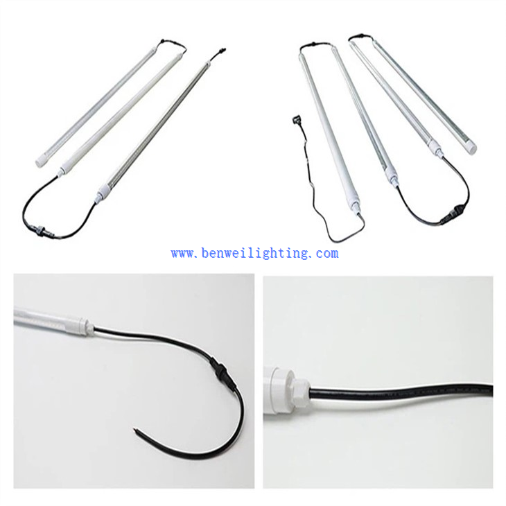 Farmyard Poultry Light (4)