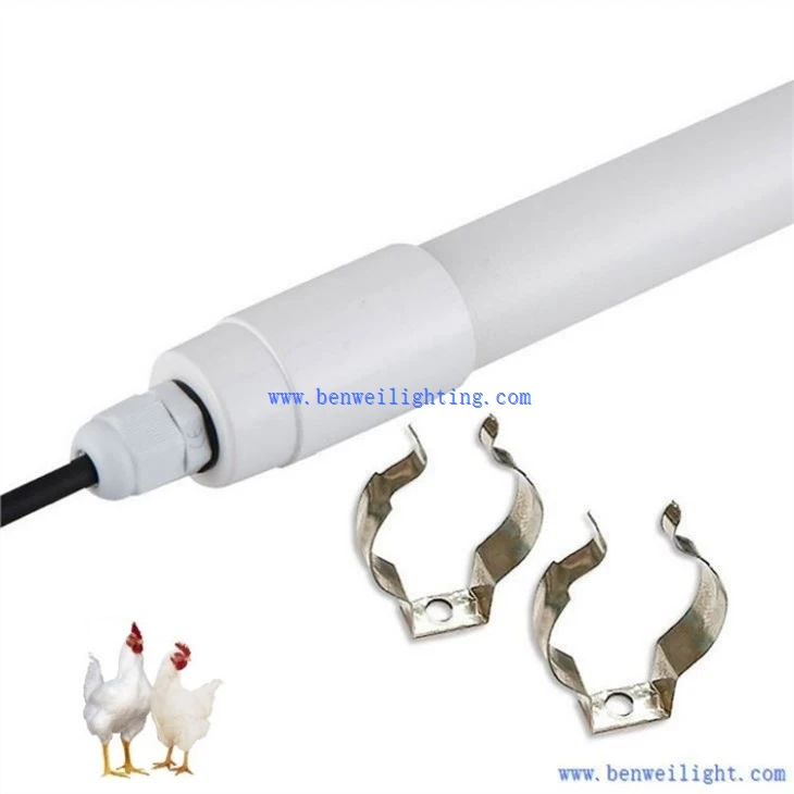 chicken coop light fixture