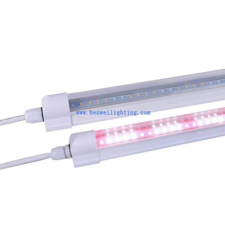 Indoor LED Growing Light Indoor Greenhouse