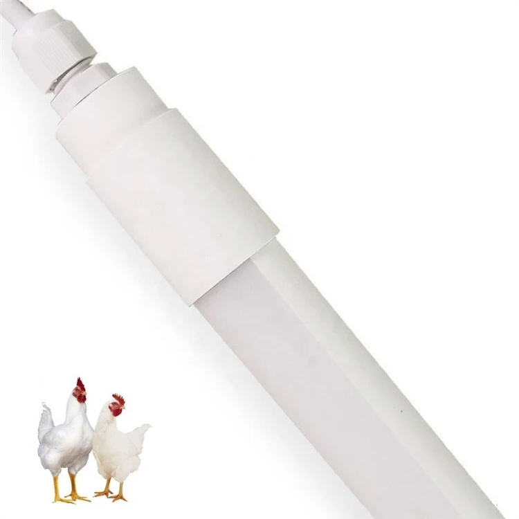 battery operated chicken coop light battery operated chicken coop light