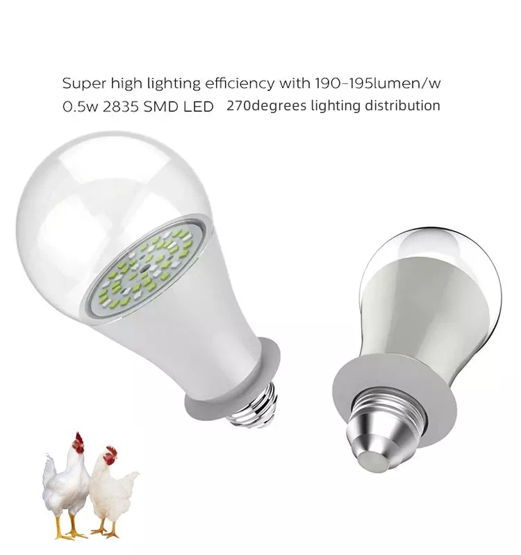 chicken lights led chicken lights led